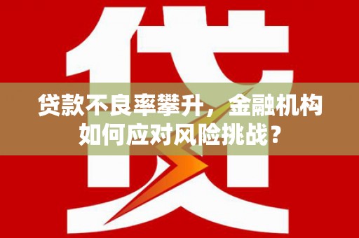 秦汉贷款不良率攀升，金融机构如何应对风险挑战？