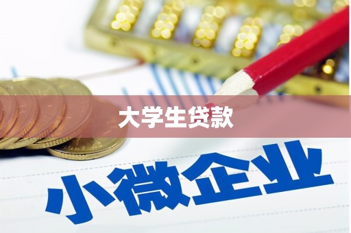 秦汉大学生贷款