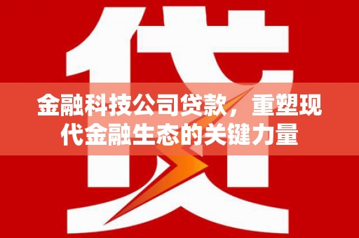 秦汉金融科技公司贷款，重塑现代金融生态的关键力量