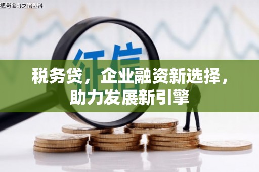 秦汉税务贷，企业融资新选择，助力发展新引擎