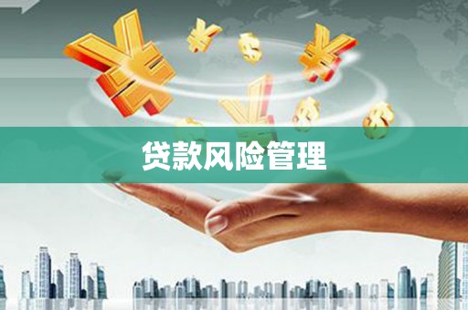 秦汉贷款风险管理