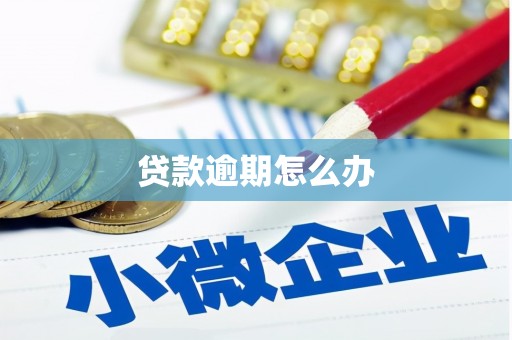 秦汉贷款逾期怎么办