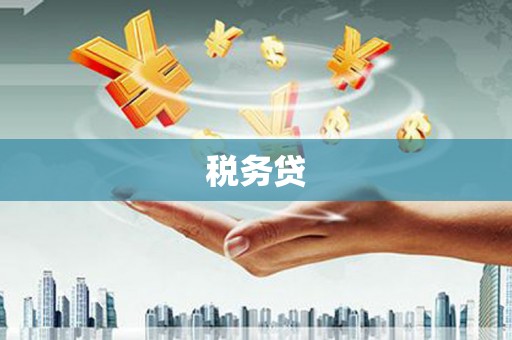 秦汉税务贷