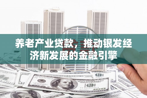秦汉养老产业贷款，推动银发经济新发展的金融引擎