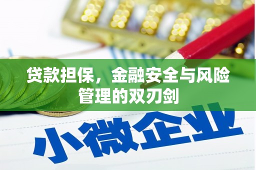 秦汉贷款担保，金融安全与风险管理的双刃剑