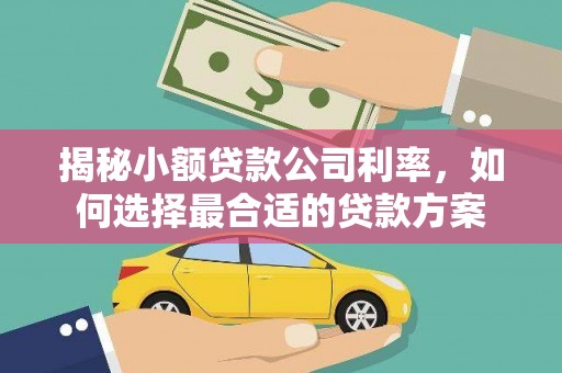 秦汉揭秘小额贷款公司利率，如何选择最合适的贷款方案