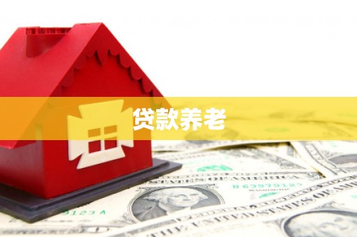 秦汉贷款养老