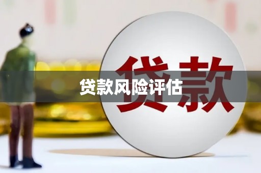 秦汉贷款风险评估