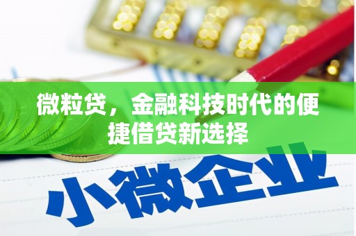 秦汉微粒贷，金融科技时代的便捷借贷新选择