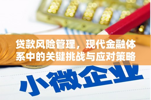 秦汉贷款风险管理，现代金融体系中的关键挑战与应对策略