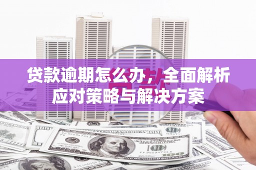 秦汉贷款逾期怎么办，全面解析应对策略与解决方案