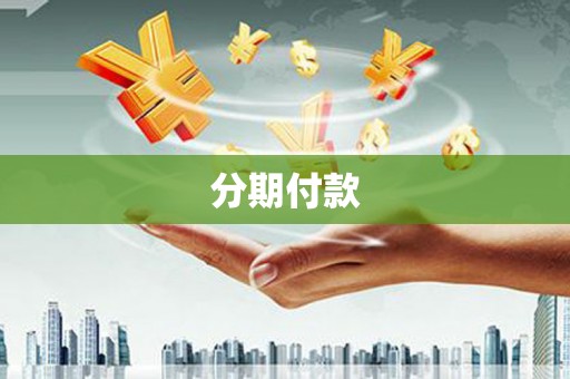 秦汉分期付款