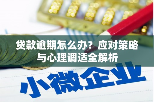 秦汉贷款逾期怎么办？应对策略与心理调适全解析