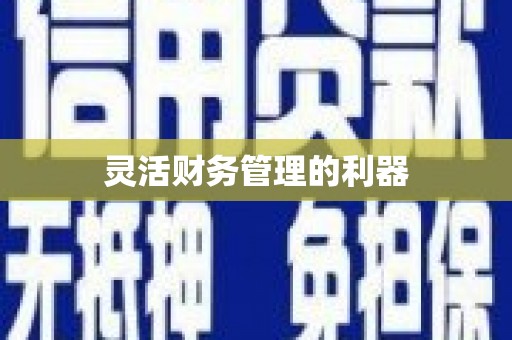 秦汉灵活财务管理的利器