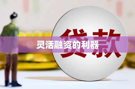 秦汉灵活融资的利器