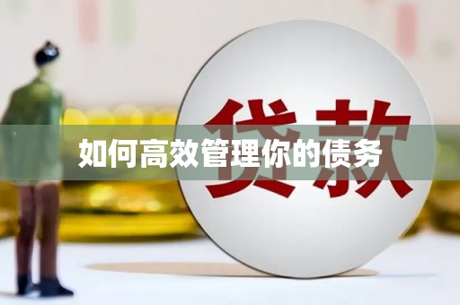 秦汉如何高效管理你的债务