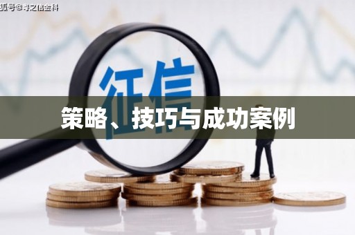 秦汉策略、技巧与成功案例