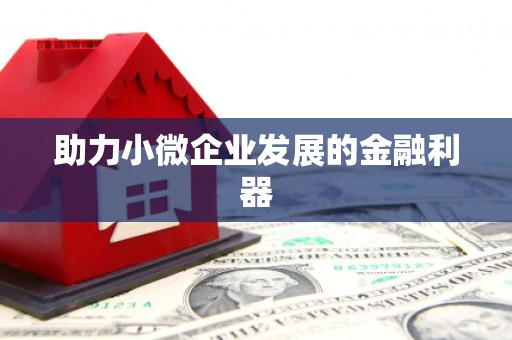 秦汉助力小微企业发展的金融利器
