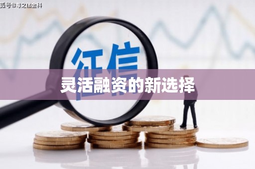 秦汉灵活融资的新选择