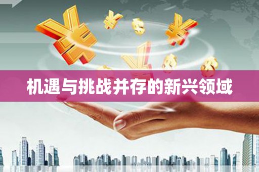 秦汉机遇与挑战并存的新兴领域