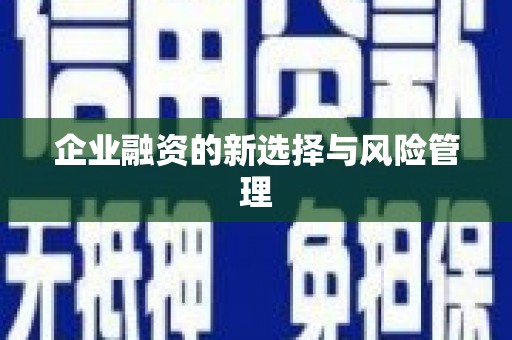 秦汉企业融资的新选择与风险管理