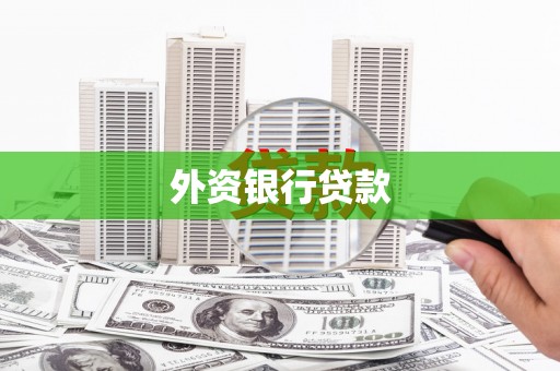 秦汉外资银行贷款