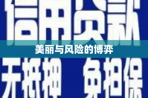 秦汉美丽与风险的博弈