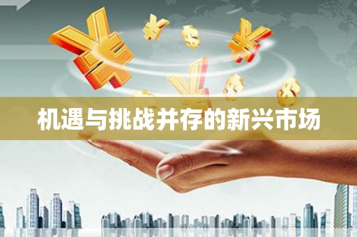秦汉机遇与挑战并存的新兴市场