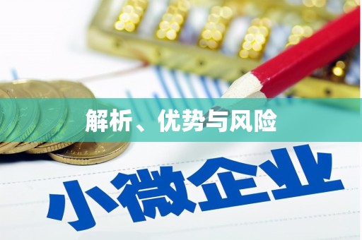 秦汉解析、优势与风险