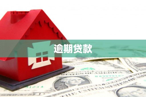 秦汉逾期贷款