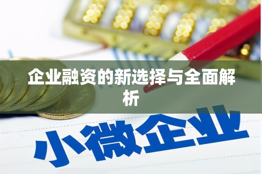 秦汉企业融资的新选择与全面解析