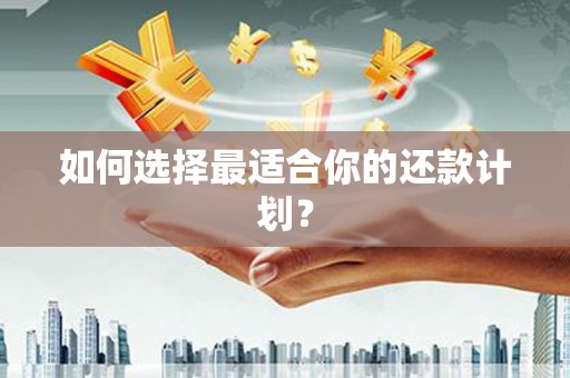 秦汉如何选择最适合你的还款计划？