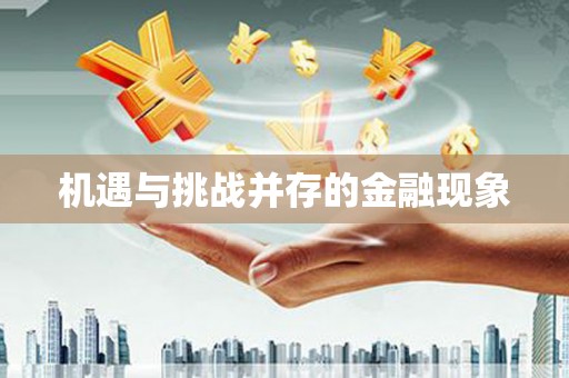 秦汉机遇与挑战并存的金融现象