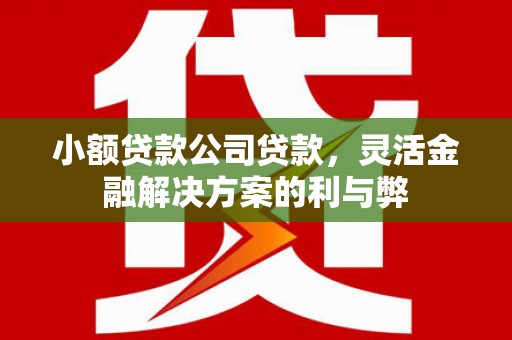 秦汉小额贷款公司贷款，灵活金融解决方案的利与弊
