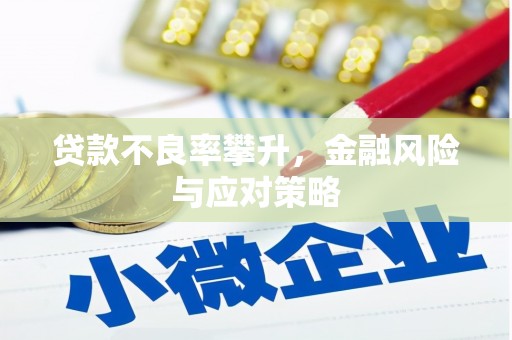 秦汉贷款不良率攀升，金融风险与应对策略
